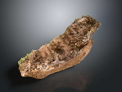 Closeup View Of Natural Rock Featuring Moss Covered Surface And Soil Texture 3d model