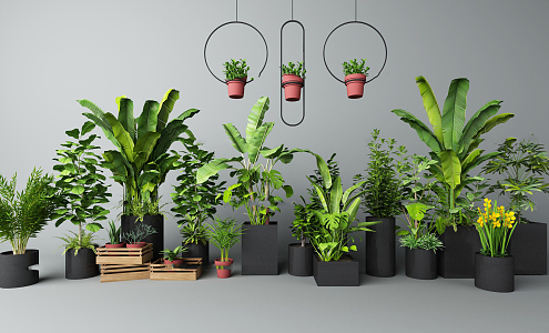 modern potted plant 3d model