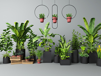 modern potted plant 3d model