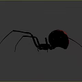 Black Spider With Red Mark On Abdomen And Long Legs Against Gray Background