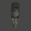 Detailed Tyrannosaurus Rex Head Model With Open Mouth Sharp Teeth And Textured Skin