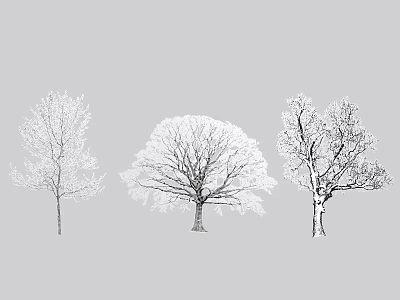 Three Detailed Leafless Arbor Trees In Sketch Style On Gray Background 3d model