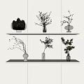 Various Vases With Green Plants And Branches On White Interior Shelves