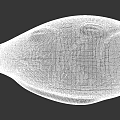 Detailed Gray Fish Sculpture With Artistic Carved Design And Smooth Surface