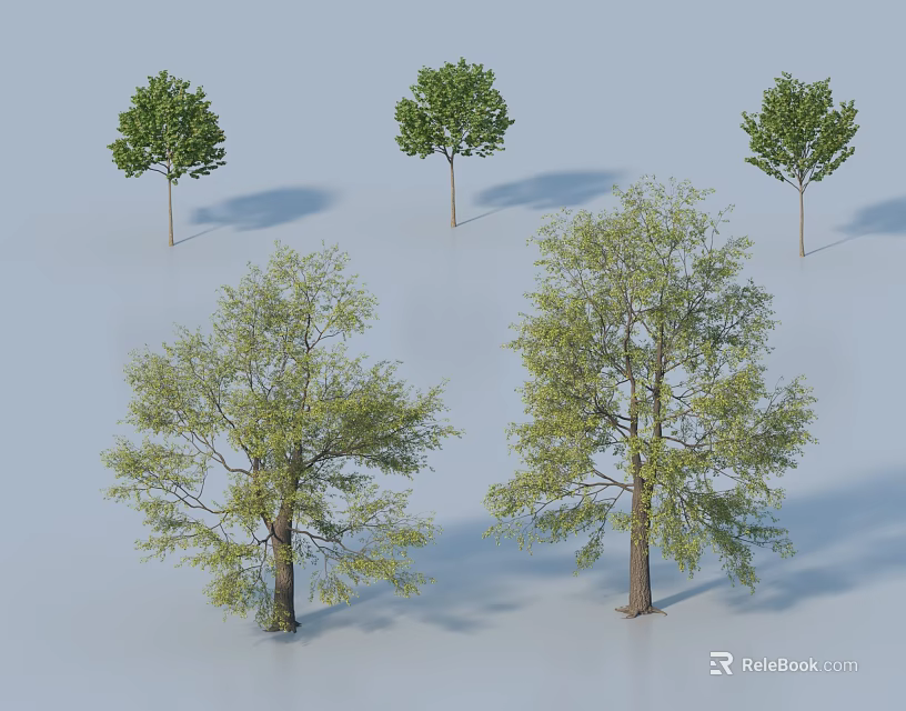 Various Arbor Tree Models Featuring Green Foliage And Different Sizes In Design 3d model