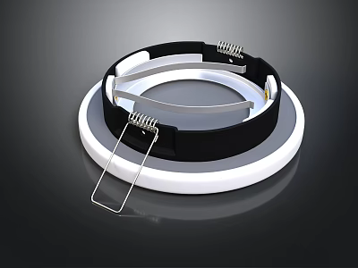Modern Ring Shaped Lighting Fixture With Black White Band And Metal Clips 3d model