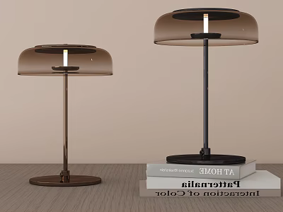 Modern Table Lamps With Transparent Shades And Metal Stands For Desk Lighting 3d model