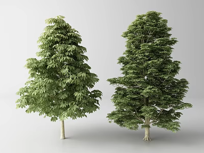 Two Lush Arbor Trees With Dense Green Foliage And Light Colored Trunks 3d model