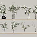Elegant Different Designed Vases With Green Plants Arranged On Wooden Shelves