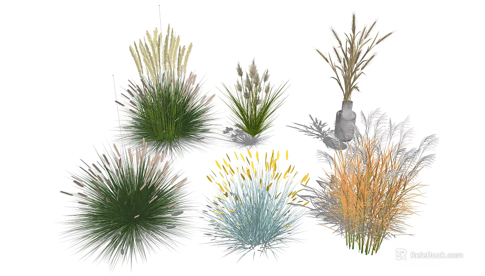 Diverse Ornamental Grasses With Colorful Foliage And Decorative Shapes For Landscaping 3d model 