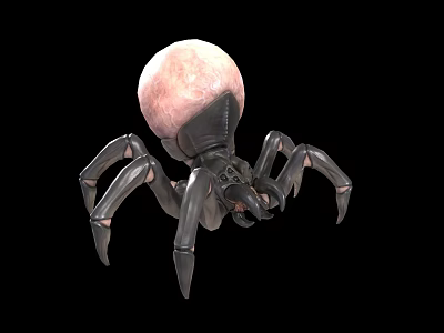 3D Spider Model With Pink Spherical Abdomen And Black Body Long Legs On Black Background 3d model