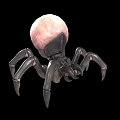 3D Spider Model With Pink Spherical Abdomen And Black Body Long Legs On Black Background