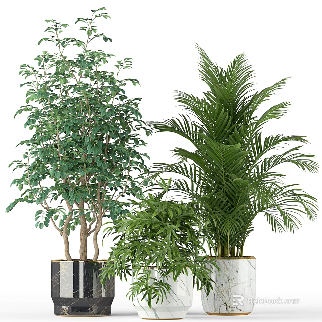 Indoor Decorative Potted Plants With Palm Tree And Lush Green Foliage In Planters 3d model 