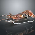 Vibrant Orange Brown Squid Aquatic Animal With Long Tentacles And Large Eyes In Marine Habitat