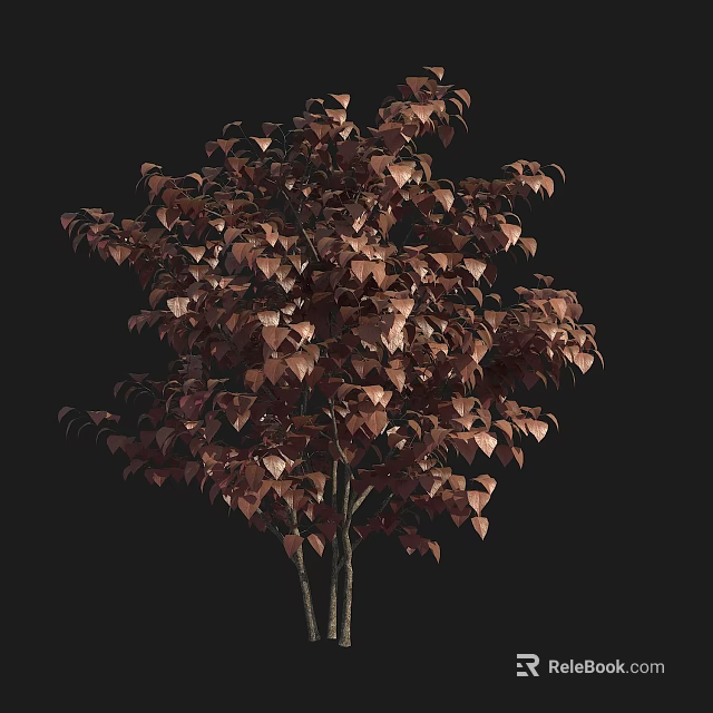Tall Tree With Brown Leaves Slender Trunk And Lush Branches Against Dark Background 3d model 