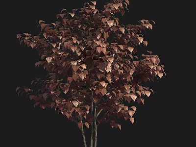 Tall Tree With Brown Leaves Slender Trunk And Lush Branches Against Dark Background 3d model