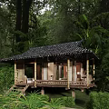 Traditional Bamboo Hut In Forest With Tile Roof Wooden Deck And Greenery