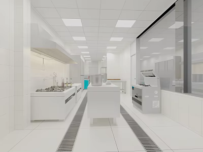 Modern Commercial Kitchen Open Layout With Stainless Steel Appliances And Island Counter 3d model