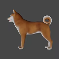 Realistic 3D Model Of Shiba Inu Dog With Brown White Coat Standing
