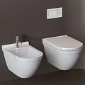 Modern White Wall Mounted Toilet With Flush Panel In Bathroom Design 3d model