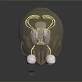 Transparent Skull Anatomical Model For Medical Training And Eye Surgery Simulation