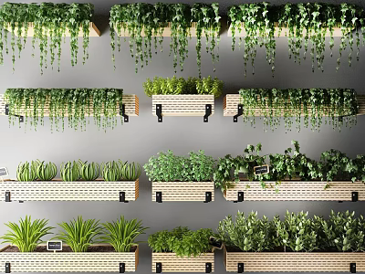 Green Bonsai Potted Plants Arranged On Wooden Shelves With Hanging Vines 3d model