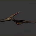 Flying Pterosaur Model With Spread Wings And Detailed Body Structure