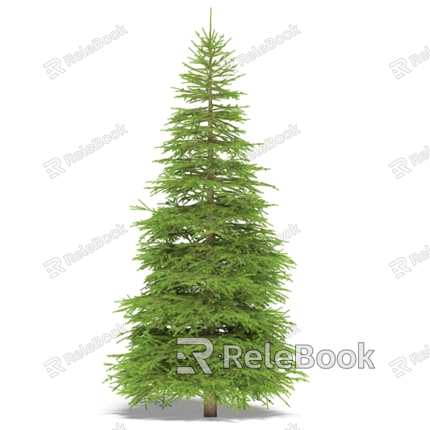 fir model