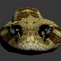 Shiny Snake Head With Yellow And Brown Scales And Black Eyes On Dark Background