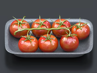 Ripe Red Tomatoes With Fresh Green Leaves On Gray Tray 3d model