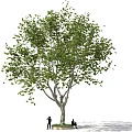 Tall Green Tree With Two People Standing And Sitting Underneath 3d model