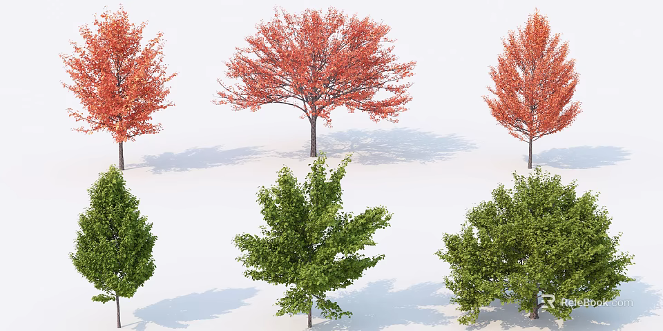 Vibrant Arbor Trees With Red And Green Foliage In Natural Arrangement 3d model 