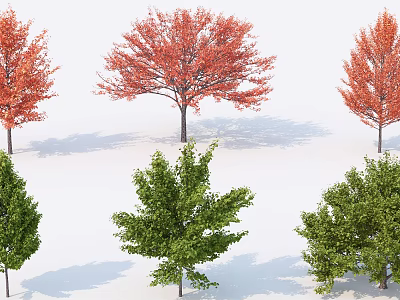Vibrant Arbor Trees With Red And Green Foliage In Natural Arrangement 3d model