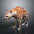Realistic Hyena 3D Model Standing On Dark Background Spotted Body Mouth Slightly Open Showing Teeth