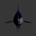 Blue And Silver Swordfish With Long Bill Sleek Body And Reflection On Dark Background