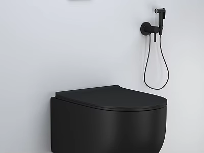 Modern Black Toilet Design With Wall Mounted Bidet Sprayer in Contemporary Bathroom 3d model