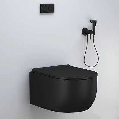 Modern Black Toilet Design With Wall Mounted Bidet Sprayer in Contemporary Bathroom 3d model