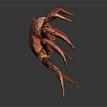 Red Textured Crab With Detailed Shell And Long Legs On Gray Background