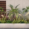 Tropical Plants and Ornamental Grasses in Modern Planter with Lattice Wall Background