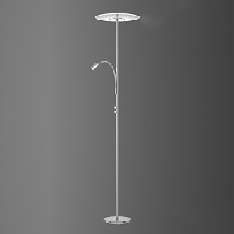 Floor lamp High pole floor lamp Metal floor lamp 3d model