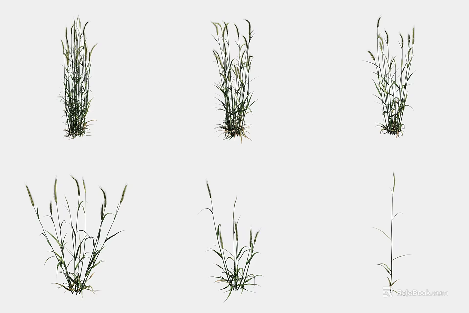 Herbaceous Agricultural Crops in Different Growth Stages with Green Leaves and Soil 3d model 
