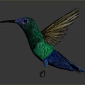 Vibrant Hummingbird With Green Blue Purple Feathers And Spread Wings In Flight Pose