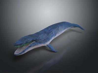 Blue Gray Prehistoric Aquatic Animal With Streamlined Body And Open Mouth 3d model