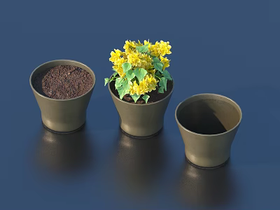Three Decorative Potted Plants With Yellow Flowers Green Leaves And Empty Pots 3d model