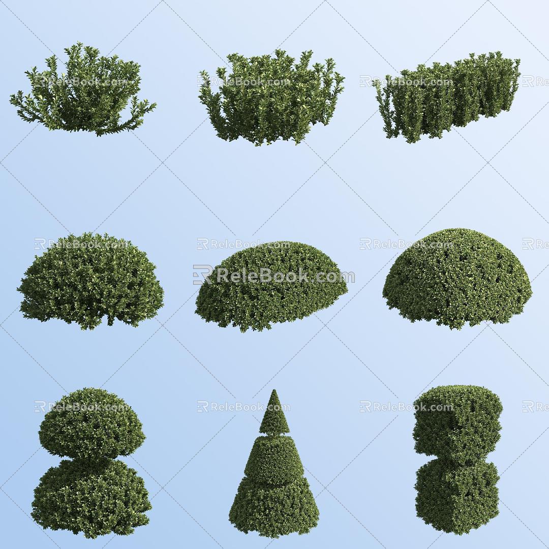 Holly Euonymus Garden Shrubs 3d model