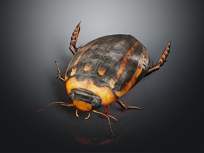 Modern Beetle Stripe Diving Beetle 3d model