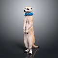 Meerkat Standing Upright Wearing Blue Bow Tie Light Brown And White Against Dark Background