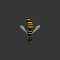 Cartoon Style Bee Character With Yellow Black Stripes And Transparent Wings