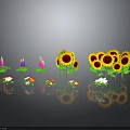 Various Colorful Plants Including Sunflowers Lupines And Daisies With Reflections On Gray Background