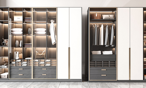 Light Luxury Wardrobe Combination 3d model